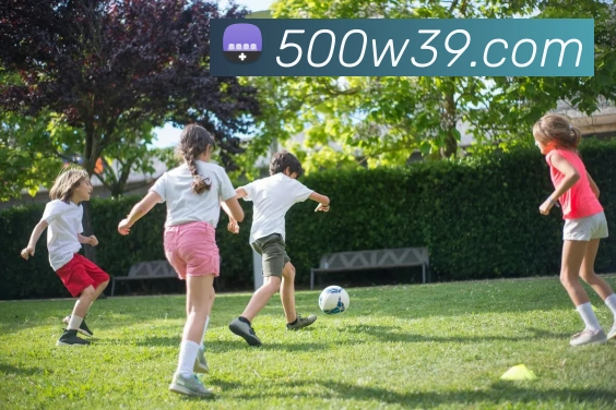 500万彩票网发展历程